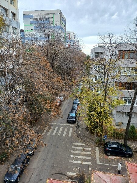 Dorobanti, Beller langa parc Floreasca