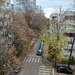 Dorobanti, Beller langa parc Floreasca